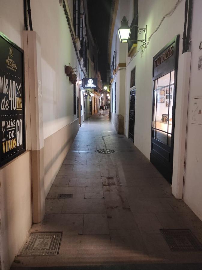 Al-Andalus Agradable Casa Para Relajarse Y Descubrir Cordoba Διαμέρισμα Εξωτερικό φωτογραφία